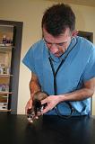 VETERINAIRE NAC 071